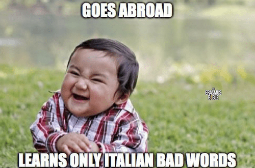 erasmus meme about italian students