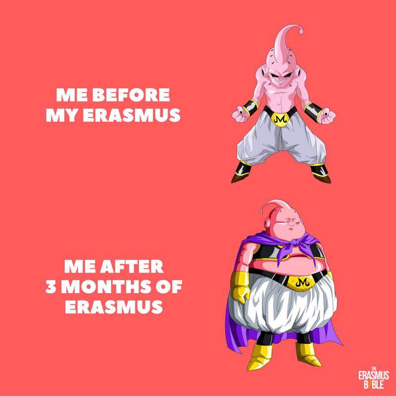 erasmus meme about becoming fat