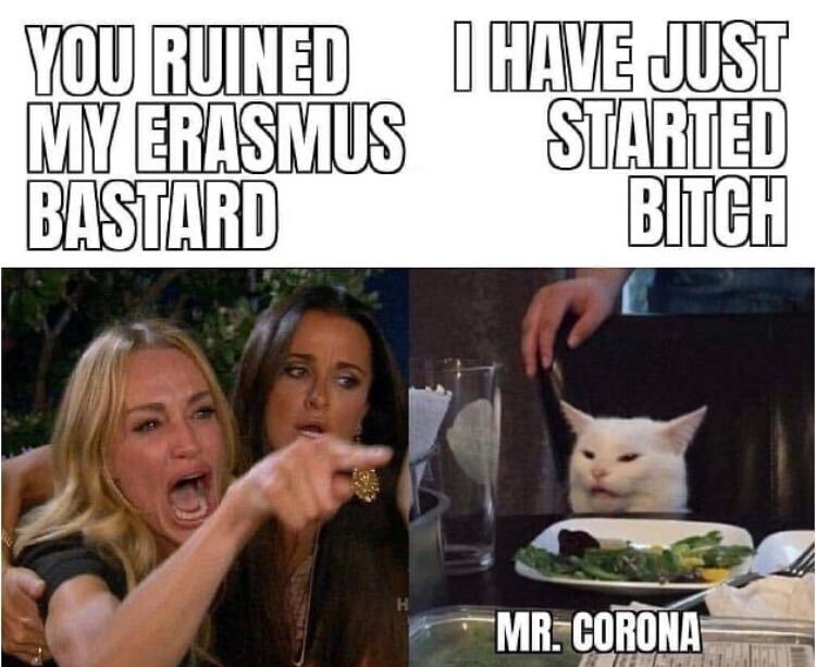 meme about corona virus ruining erasmus