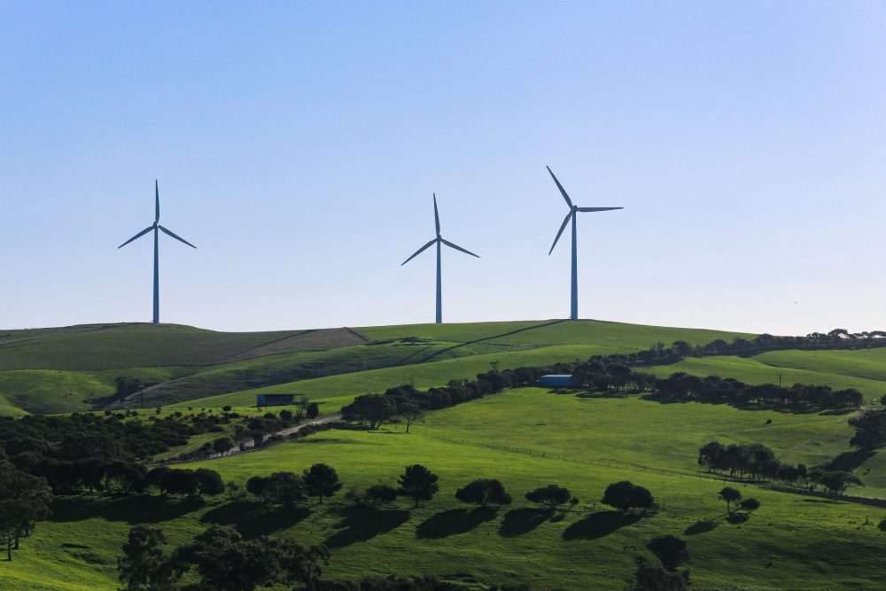 žalias vėjo jėgainių projektas