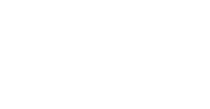 AY institute white logo